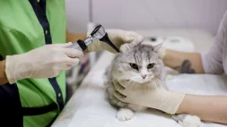 Клиника Лео изображение 8