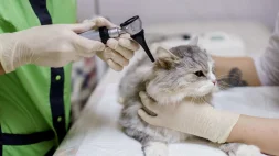 Клиника Лео изображение 2