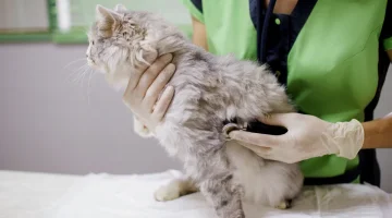 Клиника Лео изображение 11