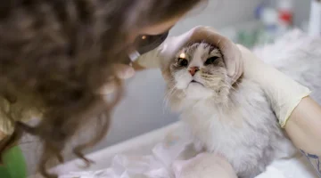 Клиника Лео изображение 7