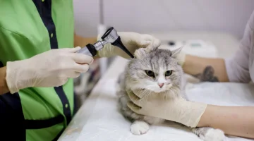 Клиника Лео изображение 8