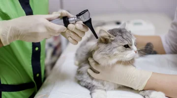 Клиника Лео изображение 2